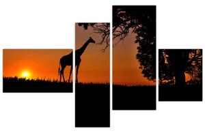 Obraz žirafy v prírode (Obraz 110x70cm)