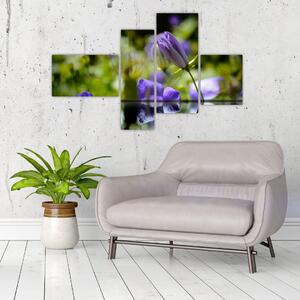 Modrá kvetina - obraz (Obraz 110x70cm)
