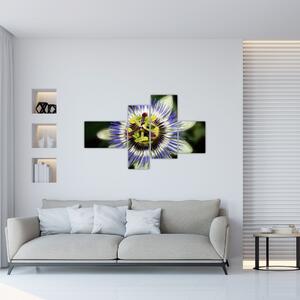 Obrazy kvetov (Obraz 110x70cm)
