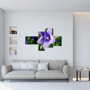 Kvety - obraz (Obraz 110x70cm)