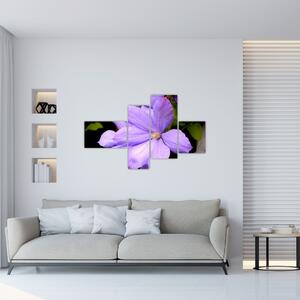 Obraz kvetu (Obraz 110x70cm)