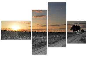Západ slnka - obraz (Obraz 110x70cm)