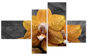 Orchidea - obraz (Obraz 110x70cm)