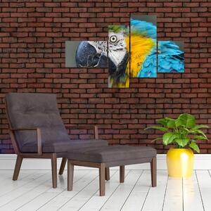 Papagáj - obraz (Obraz 110x70cm)