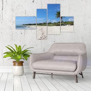 Exotická pláž - obraz (Obraz 110x70cm)