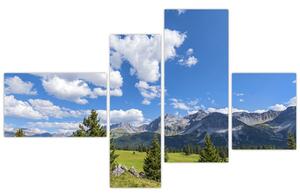 Fotka hôr - obraz (Obraz 110x70cm)