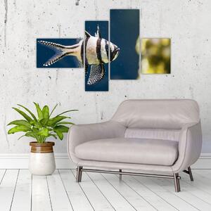 Ryba - obraz (Obraz 110x70cm)