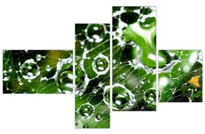 Kvapky vody - obrazy (Obraz 110x70cm)