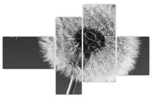Odkvitnutá púpava - obraz kvetín (Obraz 110x70cm)