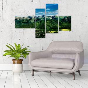 Obraz - panoráma hôr (Obraz 110x70cm)