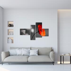 Vlčie maky - obraz na stenu (Obraz 110x70cm)