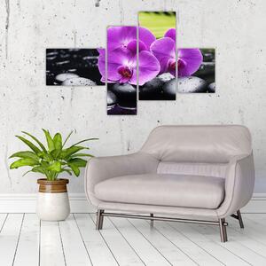 Obraz - orchidea (Obraz 110x70cm)