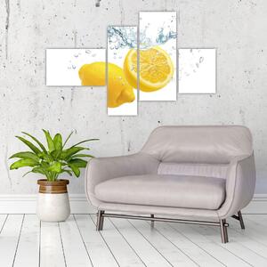 Citron- Obraz (Obraz 110x70cm)