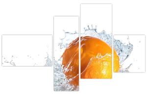 Obraz pomaranče (Obraz 110x70cm)