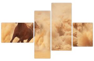 Cválajúci kôň - obraz (Obraz 110x70cm)
