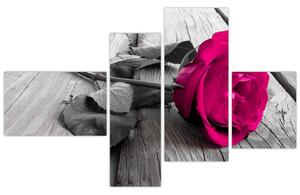 Ruže fialová - obraz (Obraz 110x70cm)