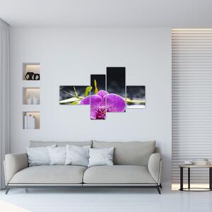 Kvet orchidey - obraz (Obraz 110x70cm)