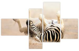 Obraz zebry (Obraz 110x70cm)