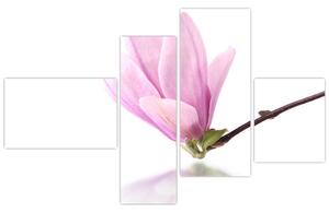 Kvet - obraz (Obraz 110x70cm)