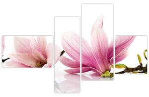 Kvetina - obraz (Obraz 110x70cm)