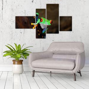 Žaba - obraz (Obraz 110x70cm)