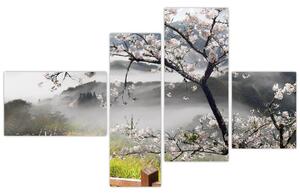 Sakura - obraz (Obraz 110x70cm)