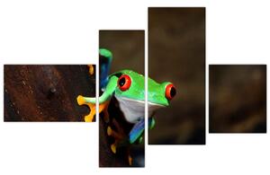 Žaba - obraz (Obraz 110x70cm)