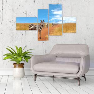 Zebra na ceste - obraz (Obraz 110x70cm)