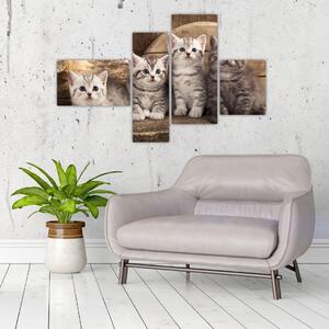 Mačiatka - obraz (Obraz 110x70cm)
