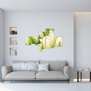 Detail tulipánov - obraz (Obraz 110x70cm)