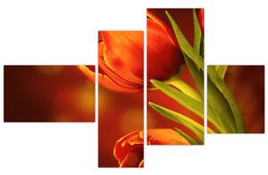 Obraz tulipánov (Obraz 110x70cm)