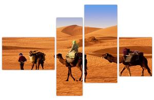 Ťavy v púšti - obraz (Obraz 110x70cm)