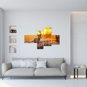 Jelen - obraz (Obraz 110x70cm)