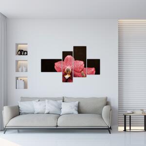 Ružová orchidea - obraz (Obraz 110x70cm)