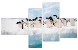 Tučniaci - obraz (Obraz 110x70cm)