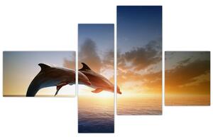 Delfíny - obraz (Obraz 110x70cm)