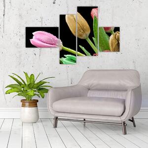 Tulipány - obraz (Obraz 110x70cm)
