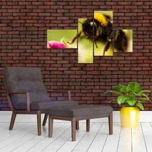 Včela - obraz (Obraz 110x70cm)