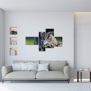 Sova - obraz (Obraz 110x70cm)