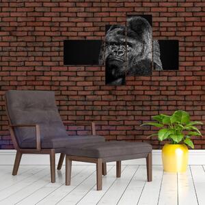Obraz opice (Obraz 110x70cm)