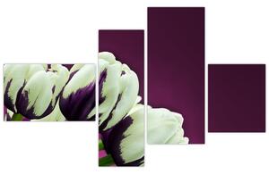 Makro tulipánov - obraz (Obraz 110x70cm)