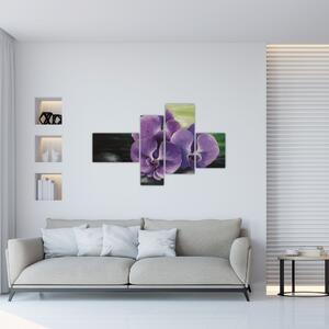 Obraz kvetov orchidey (Obraz 110x70cm)