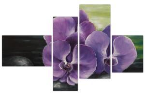 Obraz kvetov orchidey (Obraz 110x70cm)
