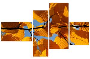 Jesenné lístie - obraz (Obraz 110x70cm)
