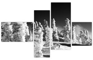 Obraz - zimné hory (Obraz 110x70cm)