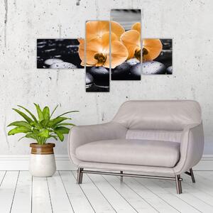 Kvet orchidey - obraz na stenu (Obraz 110x70cm)