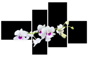Kvetina - obraz (Obraz 110x70cm)