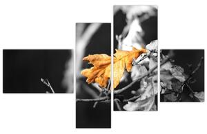Obraz - prichádzajúce jeseň (Obraz 110x70cm)