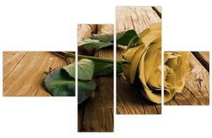 Obrazy kvetov - ruža (Obraz 110x70cm)