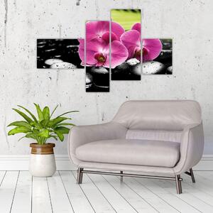 Fotka orchidey (Obraz 110x70cm)